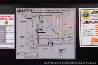 Lotus Esprit TURBO SE HIGH WING 1993