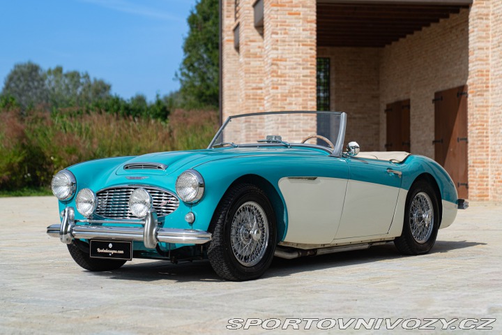 Ostatní značky Ostatní modely Austin-Healey 100/6 BN4 1957