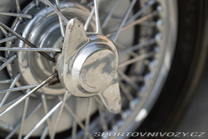 Ostatní značky Ostatní modely Austin-Healey 100/6 BN4 1957