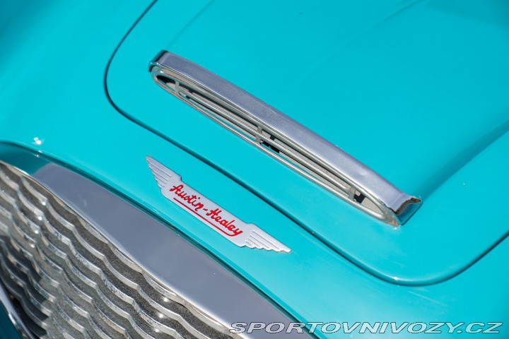 Ostatní značky Ostatní modely Austin-Healey 100/6 BN4 1957