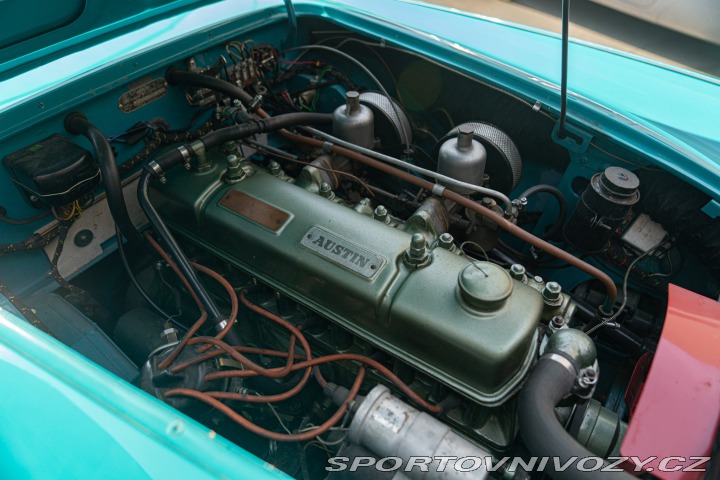 Ostatní značky Ostatní modely Austin-Healey 100/6 BN4 1957