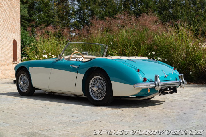 Ostatní značky Ostatní modely Austin-Healey 100/6 BN4 1957