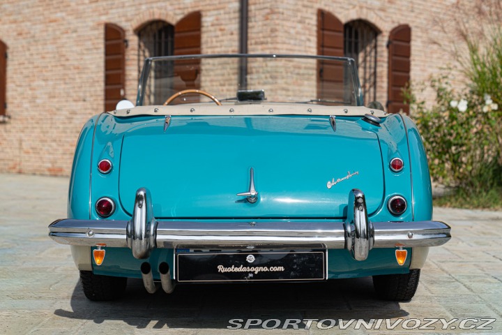 Ostatní značky Ostatní modely Austin-Healey 100/6 BN4 1957