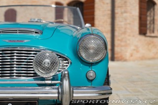 Ostatní značky Ostatní modely Austin-Healey 100/6 BN4 1957