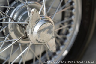 Ostatní značky Ostatní modely Austin-Healey 100/6 BN4 1957