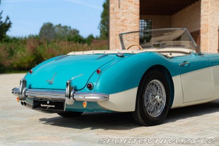 Ostatní značky Ostatní modely Austin-Healey 100/6 BN4 1957