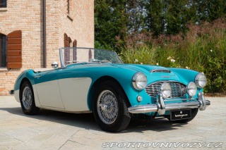 Ostatní značky Ostatní modely Austin-Healey 100/6 BN4 1957