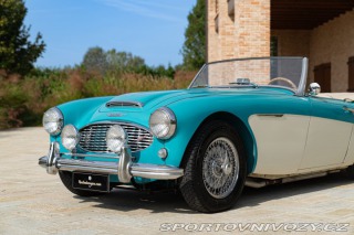 Ostatní značky Ostatní modely Austin-Healey 100/6 BN4 1957