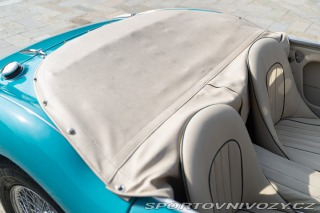 Ostatní značky Ostatní modely Austin-Healey 100/6 BN4 1957