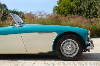 Ostatní značky Ostatní modely Austin-Healey 100/6 BN4 1957