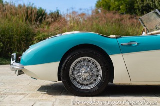Ostatní značky Ostatní modely Austin-Healey 100/6 BN4 1957