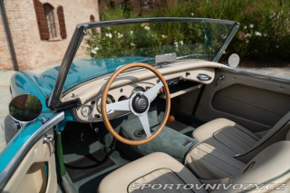 Ostatní značky Ostatní modely Austin-Healey 100/6 BN4 1957