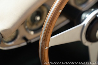 Ostatní značky Ostatní modely Austin-Healey 100/6 BN4 1957