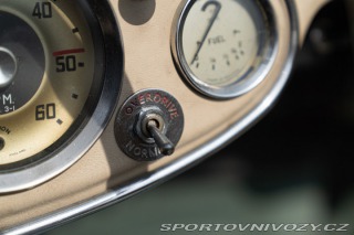 Ostatní značky Ostatní modely Austin-Healey 100/6 BN4 1957