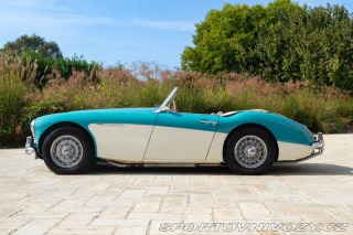 Ostatní značky Ostatní modely Austin-Healey 100/6 BN4 1957