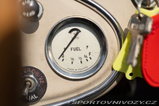 Ostatní značky Ostatní modely Austin-Healey 100/6 BN4 1957