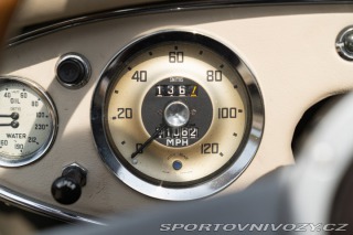 Ostatní značky Ostatní modely Austin-Healey 100/6 BN4 1957