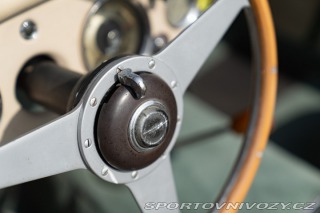 Ostatní značky Ostatní modely Austin-Healey 100/6 BN4 1957