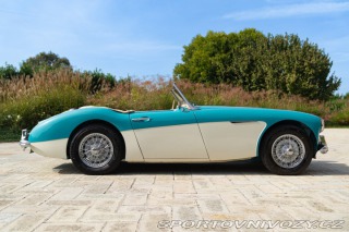 Ostatní značky Ostatní modely Austin-Healey 100/6 BN4 1957
