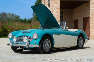 Ostatní značky Ostatní modely Austin-Healey 100/6 BN4 1957
