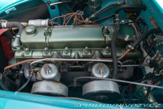 Ostatní značky Ostatní modely Austin-Healey 100/6 BN4 1957