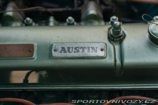 Ostatní značky Ostatní modely Austin-Healey 100/6 BN4 1957