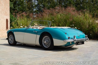 Ostatní značky Ostatní modely Austin-Healey 100/6 BN4 1957