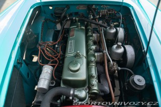 Ostatní značky Ostatní modely Austin-Healey 100/6 BN4 1957