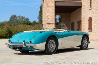 Ostatní značky Ostatní modely Austin-Healey 100/6 BN4 1957