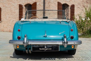 Ostatní značky Ostatní modely Austin-Healey 100/6 BN4 1957