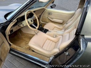 Ostatní značky Ostatní modely Chevrolet Corvette . 1979