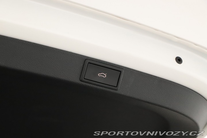 Škoda Octavia RS RS RS 2.0 TSI 2024