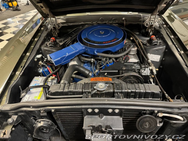 Ford Mustang Shelby GT 500 428 Cobra Jet -69 1969