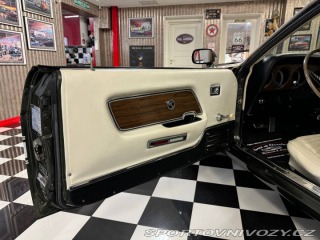 Ford Mustang Shelby GT 500 428 Cobra Jet -69 1969