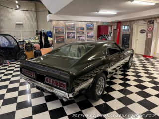 Ford Mustang Shelby GT 500 428 Cobra Jet -69 1969