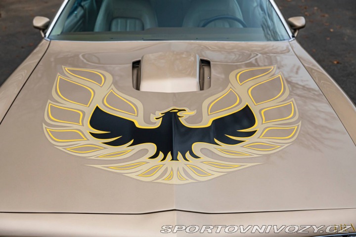 Pontiac Firebird Trans-Am 1977