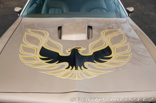 Pontiac Firebird Trans-Am 1977