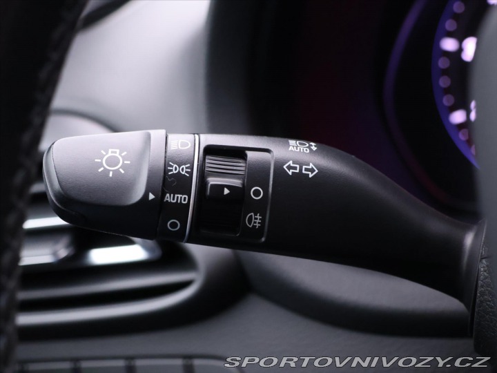 Hyundai i30 N 2,0 T-GDI Aut. CZ N-Perfo 2021