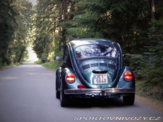 Volkswagen Beetle VW Brouk Mexiko 1600 1996