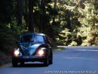 Volkswagen Beetle VW Brouk Mexiko 1600 1996