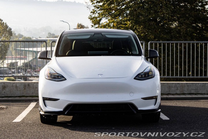 Tesla Model Y Performance 2022