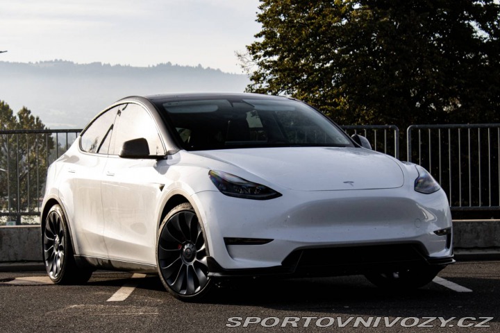 Tesla Model Y Performance 2022