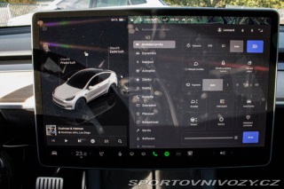 Tesla Model Y Performance 2022