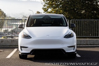 Tesla Model Y Performance 2022
