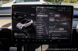 Tesla Model Y Performance 2022