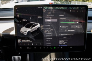Tesla Model Y Performance 2022