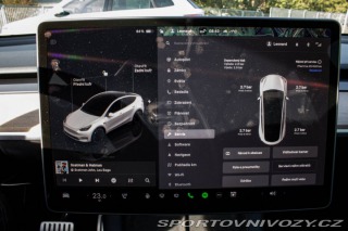 Tesla Model Y Performance 2022