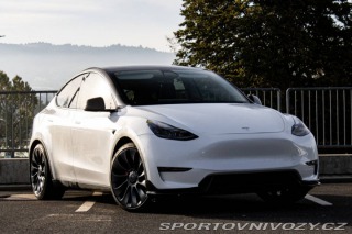 Tesla Model Y Performance 2022