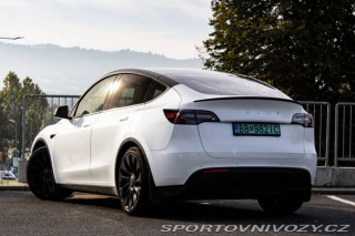 Tesla Model Y Performance 2022