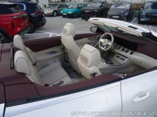 Mercedes-Benz E E53 AMG 4M Cabrio. 2019